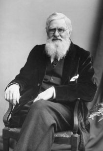 Alfred-Russel-Wallace-c1895[1]