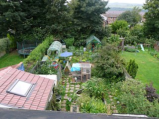 320px-Claire_Gregorys_Permaculture_garden[1]